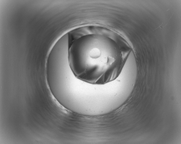 X0000070191532200606091519