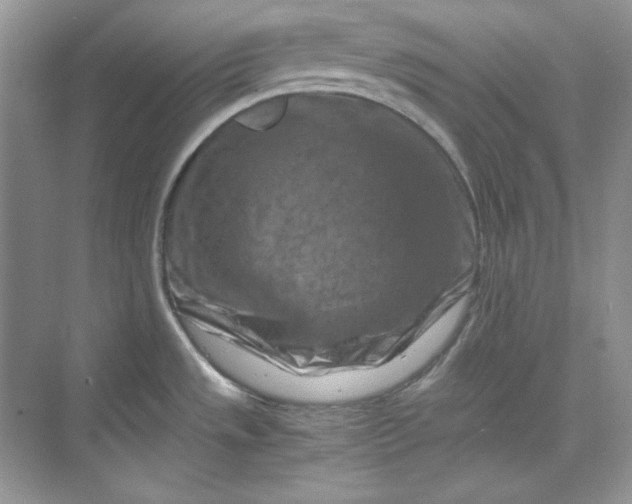 X0000070191533200606091519