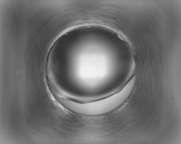 X0000070191534200606091519