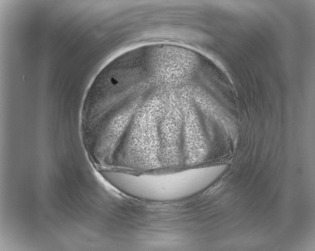 X0000070191535200606091519