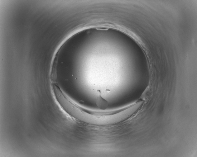 X0000070191536200606091519