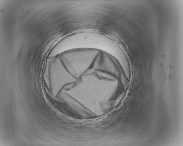 X0000070190001200606161603