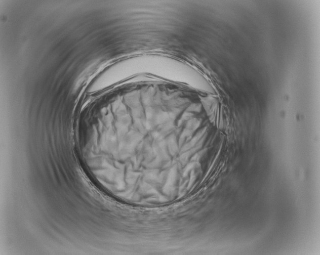 X0000070190002200606161603