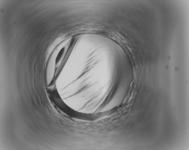 X0000070190003200606161603