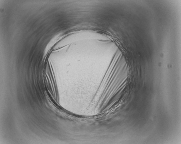 X0000070190004200606161603