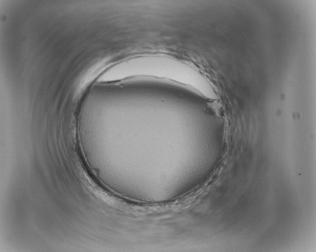 X0000070190005200606161603