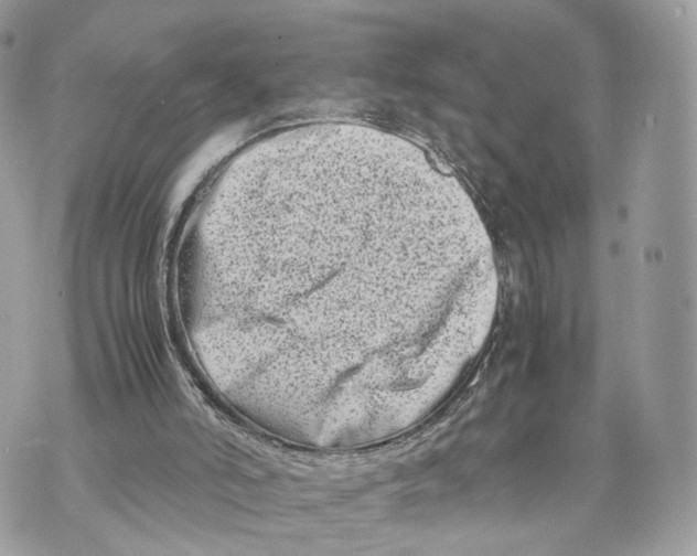 X0000070190006200606161602