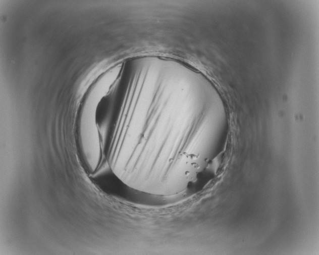 X0000070190007200606161602