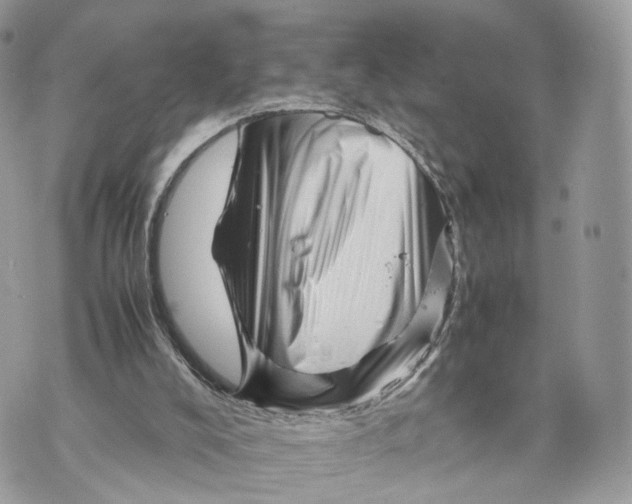 X0000070190008200606161602