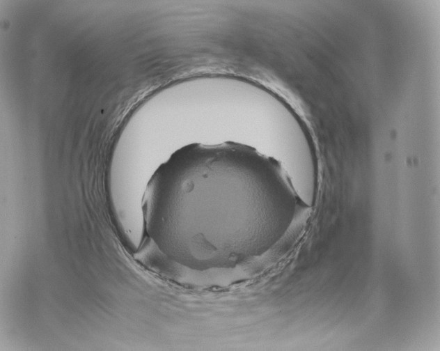 X0000070190009200606161602