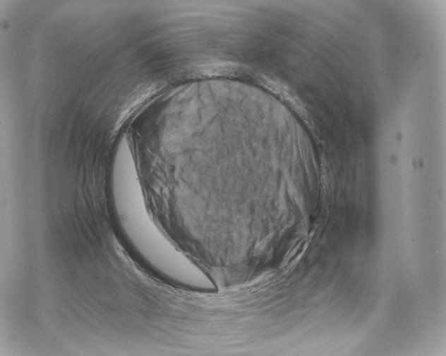 X0000070190010200606161602