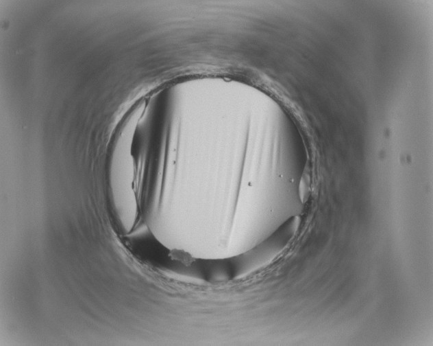 X0000070190011200606161602