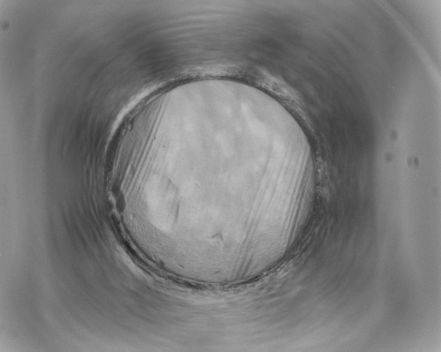 X0000070190012200606161602