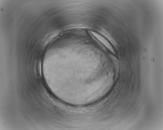 X0000070190014200606161602