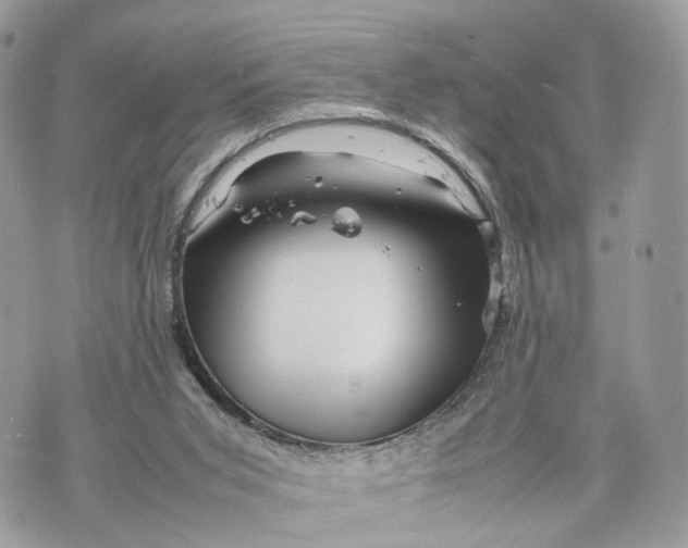 X0000070190015200606161602