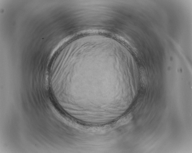 X0000070190016200606161602