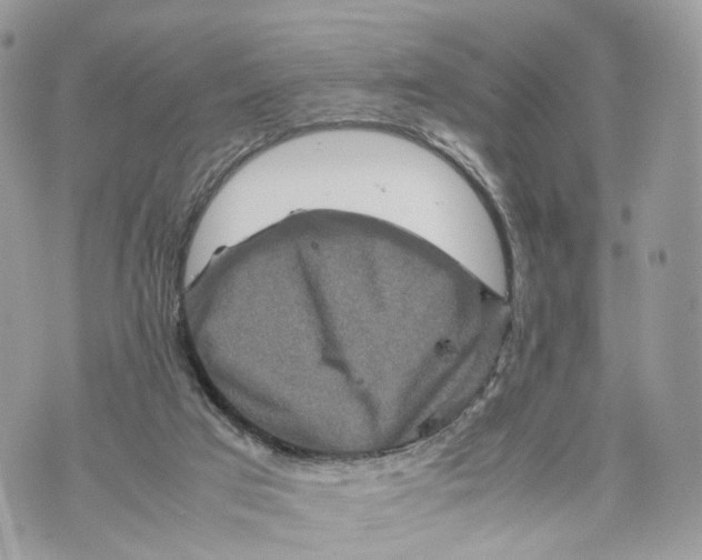 X0000070190017200606161602