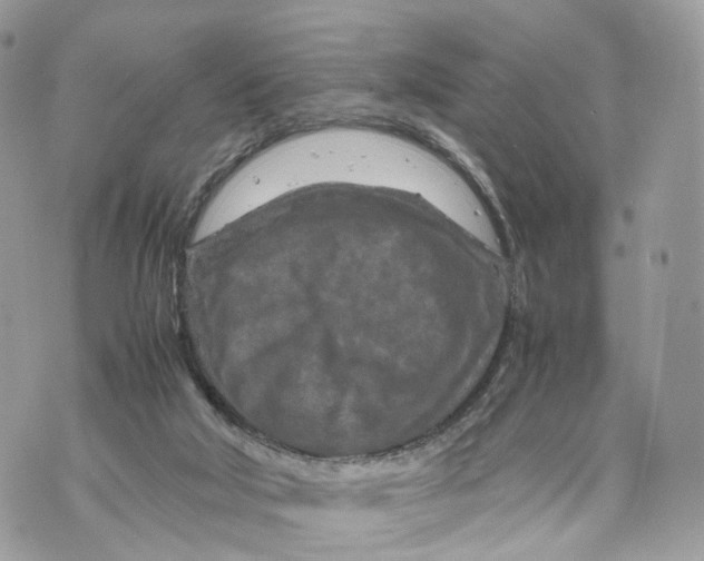 X0000070190018200606161602