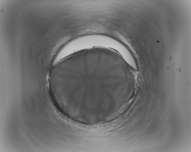 X0000070190019200606161602