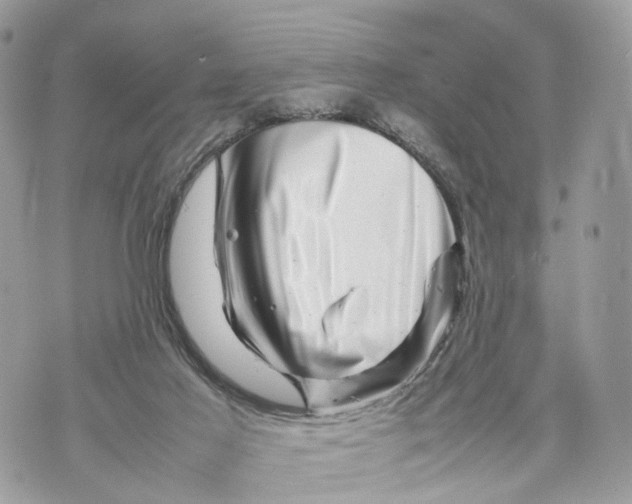 X0000070190021200606161602