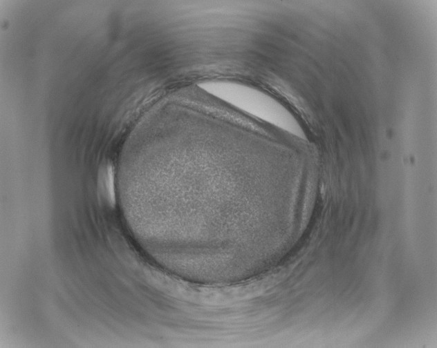 X0000070190022200606161602