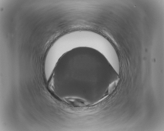 X0000070190023200606161602