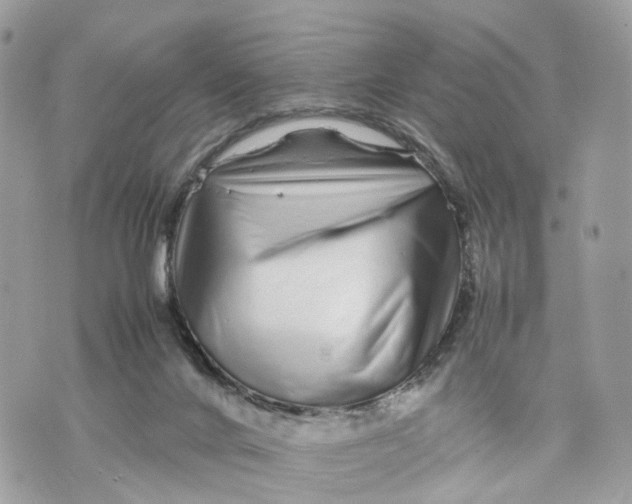 X0000070190024200606161602