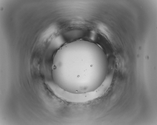 X0000070190025200606161602