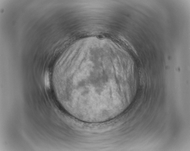 X0000070190026200606161602