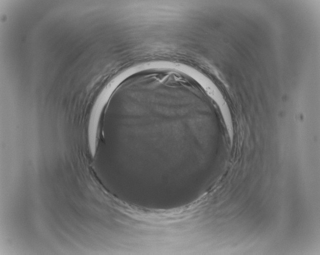 X0000070190027200606161602