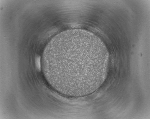 X0000070190028200606161602