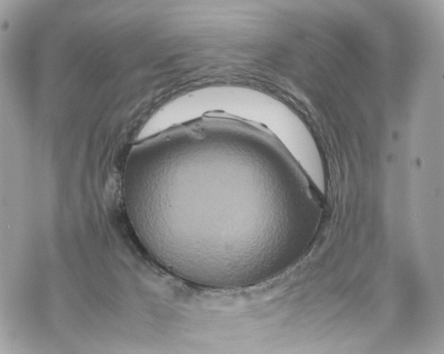 X0000070190029200606161602