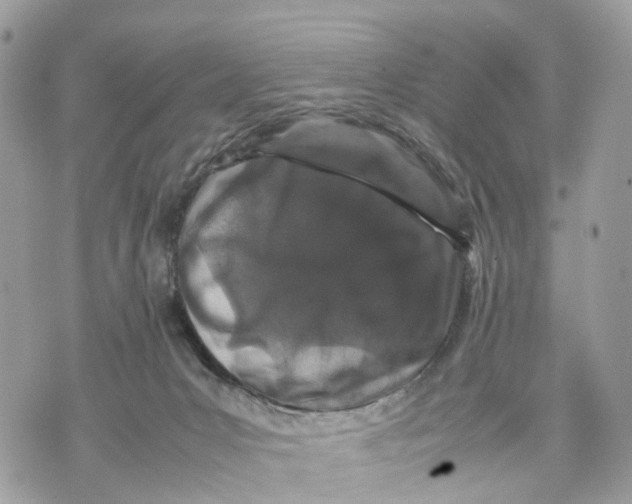 X0000070190031200606161602