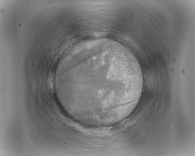 X0000070190032200606161602