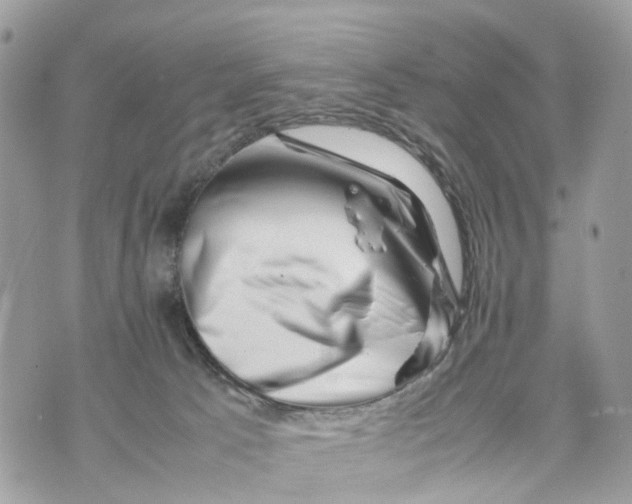 X0000070190033200606161602