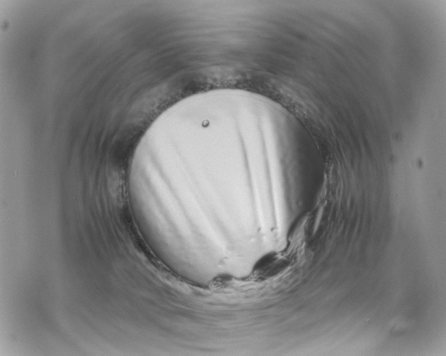 X0000070190034200606161602