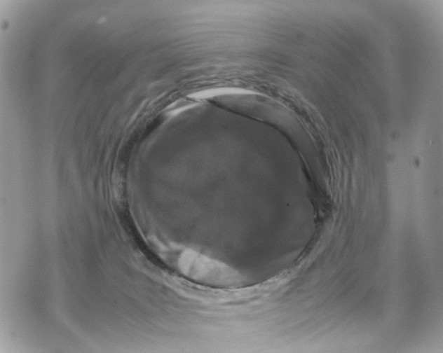 X0000070190035200606161602