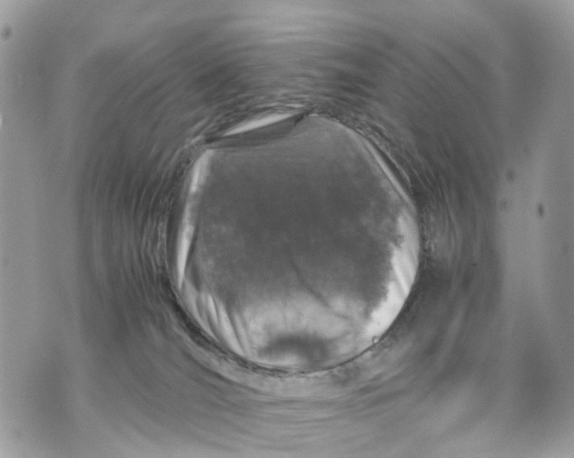 X0000070190036200606161602