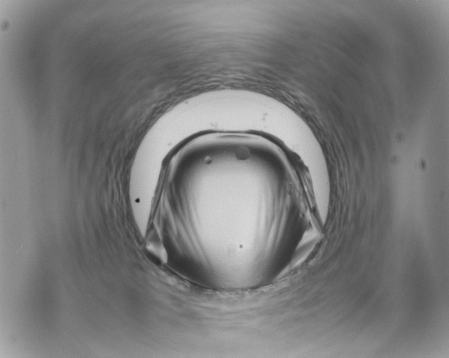 X0000070190037200606161602