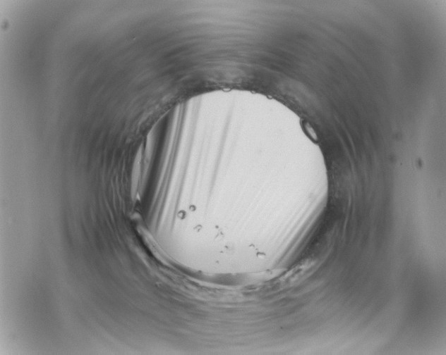 X0000070190040200606161602