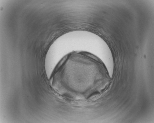 X0000070190041200606161602