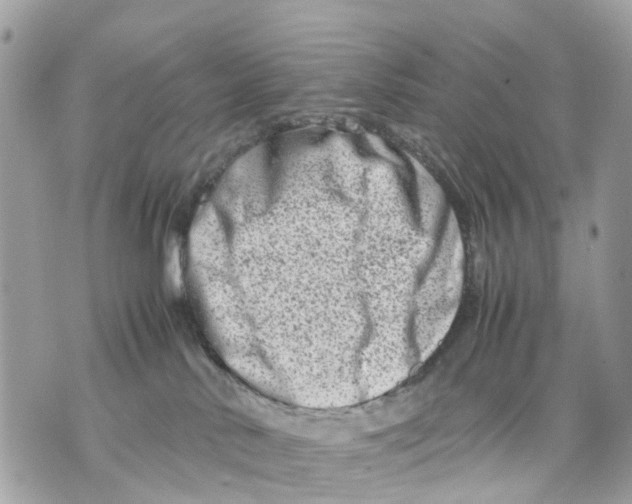 X0000070190042200606161602