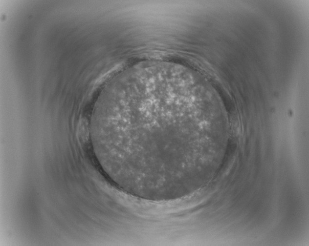 X0000070190043200606161602