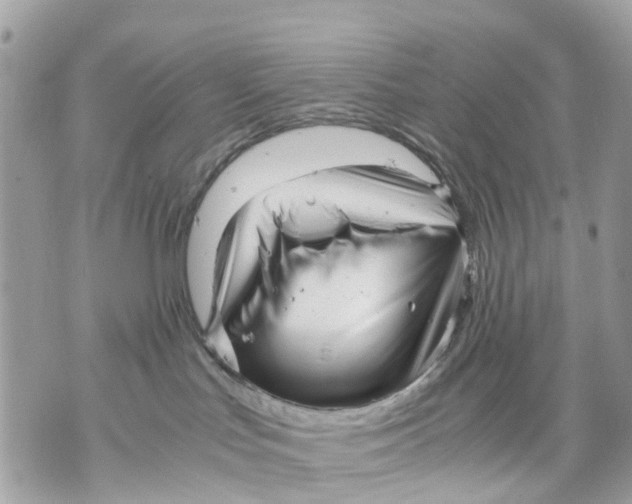 X0000070190047200606161602