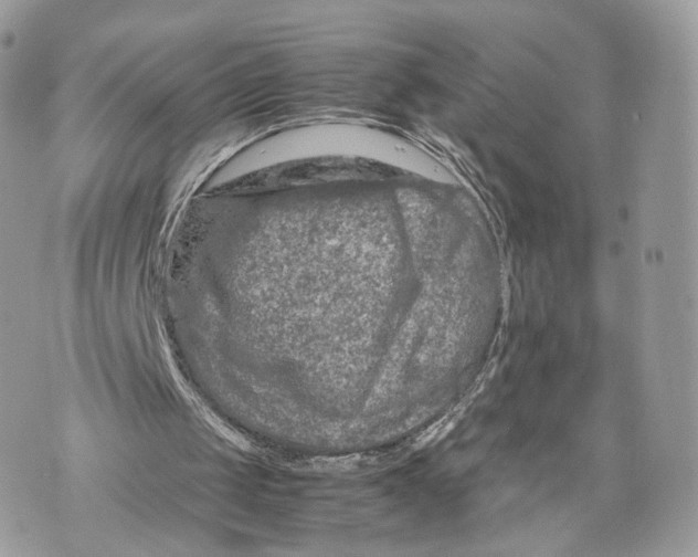 X0000070190049200606161601