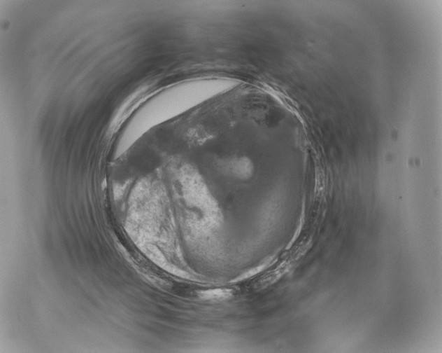 X0000070190053200606161601