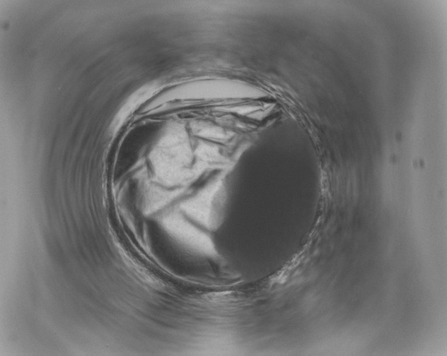 X0000070190054200606161601