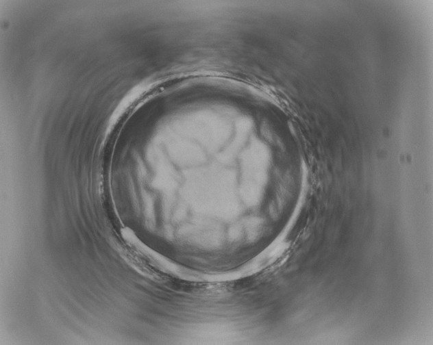 X0000070190056200606161601