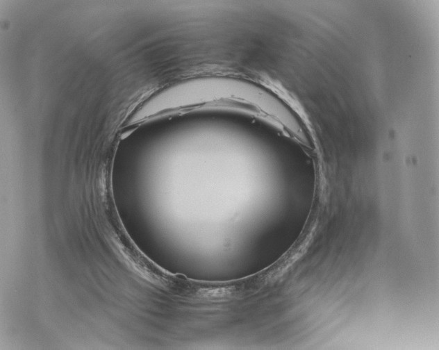 X0000070190057200606161601