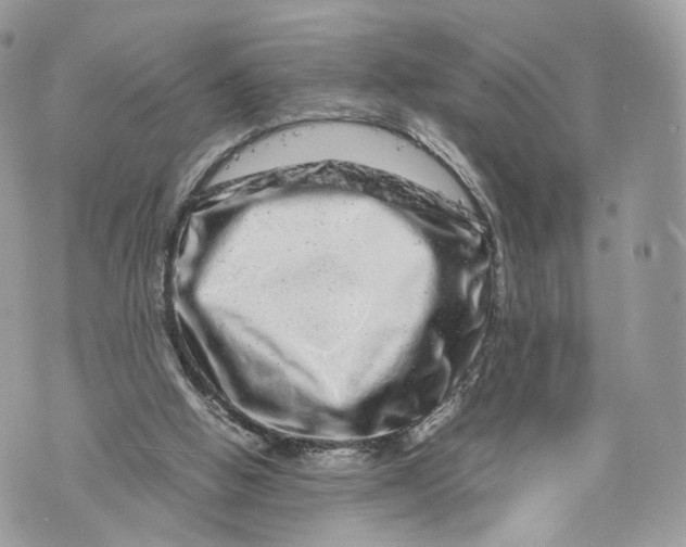 X0000070190058200606161601